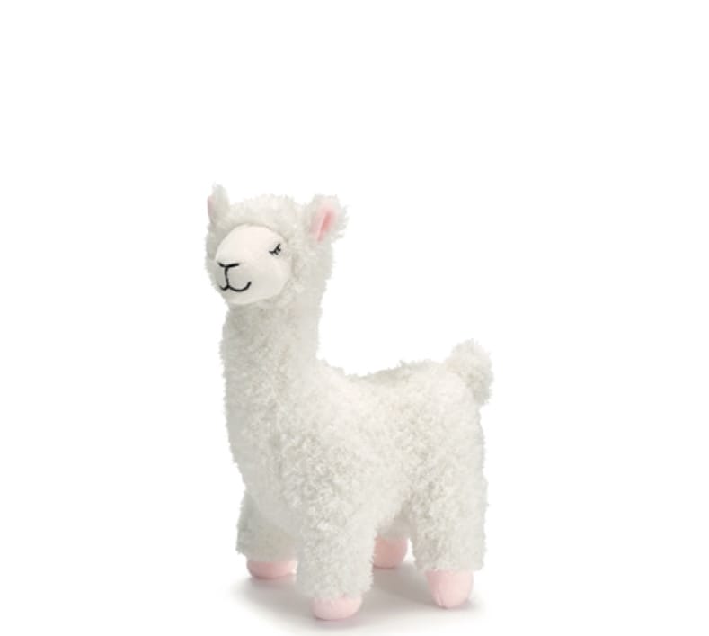 Gracious Lady Lama